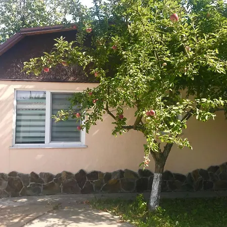 Apartments With Kitchen And Garden Kiev Exterior photo