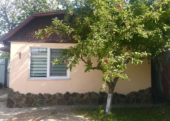 Apartments With Kitchen And Garden