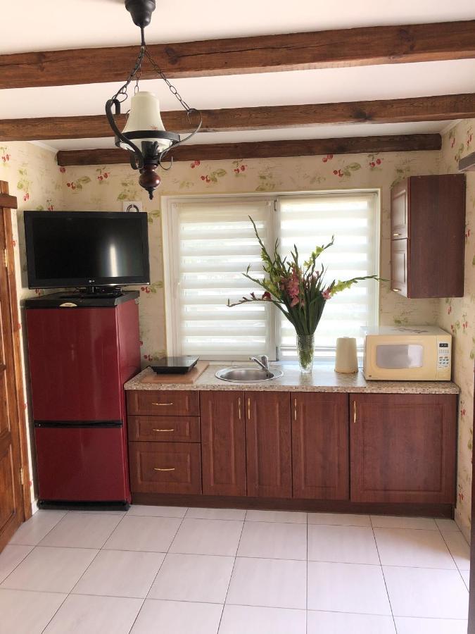 With Kitchen And Garden Apartment *
